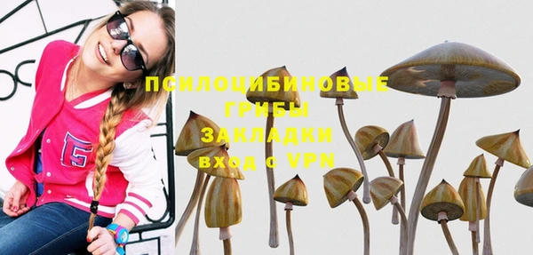 марки lsd Белокуриха
